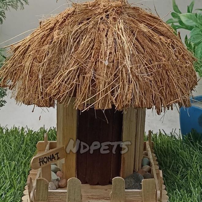 Rumah Adat Honai Papua Stik Es Krim