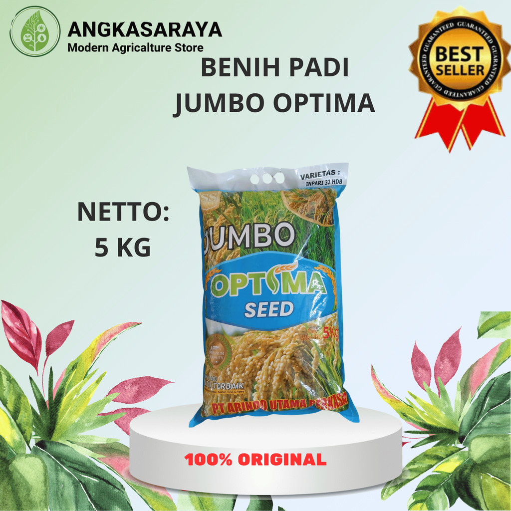 Benih Padi Inpari 32 HDB Jumbo Optima Seed 5kg - Bibit Padi Kualitas Premium Tahan Hama