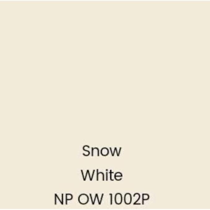 Cat Tembok Nippon Paint Spotless Plus Snow White 20L Pail Anti Bakteri
