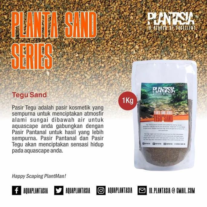 Pasir Tegu Sand 1Kg Plantasia
