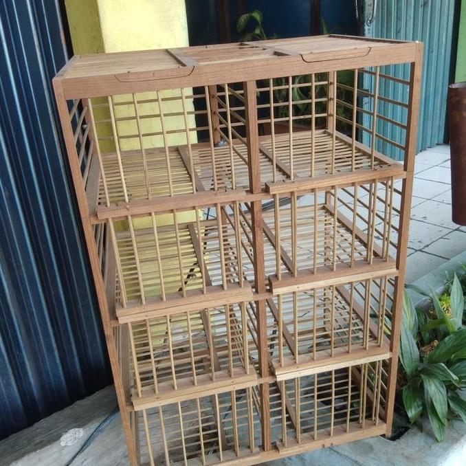 NEW DONDANG DONGDANG LEPAS BURUNG MERPATI DARA KOLONGAN PINTU 8. JATI ORI