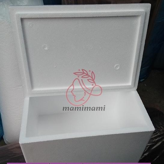 Sterofoam Box 52X37X34 Styrofoam Gg Gabus Kotak Makanan Beku Bandung
