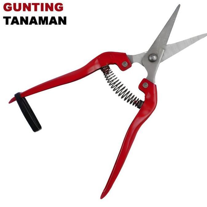 Gunting Ranting Tanaman Dahan Bonsai, Pisau Stainless Steel Tajam Anti Slip Dengan Pegas Dan Pengunc