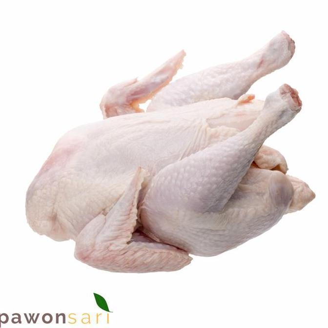 Carne- Ayam Broiler Fresh 1 Ekor