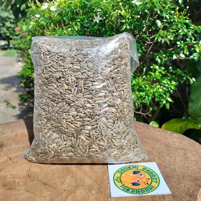 1 KG KUACI KWACI SUNFLOWER BIJI BUNGA MATAHARI HAMSTER BURUNG IMPORT