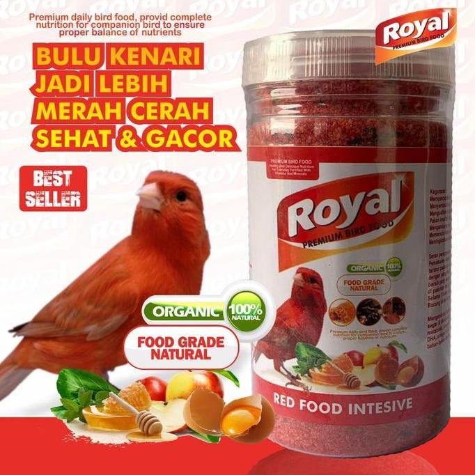 RED CEDE INSENTIVE BIKIN BULU KENARI CEPAT MERAH SEHAT & GACOR