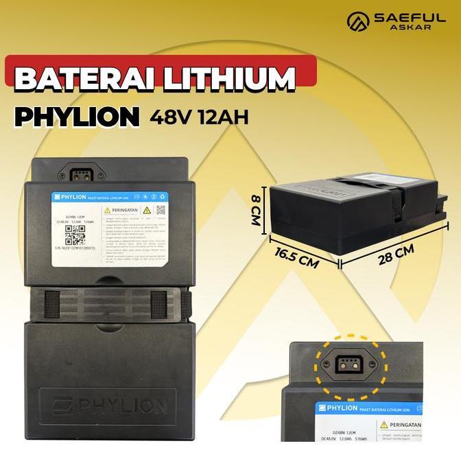 Phylion Baterai Lithium Sepeda Listrik 48V 12Ah Motor Listrik 48V 20Ah lithium Pabrikan Garansi 2 Ta