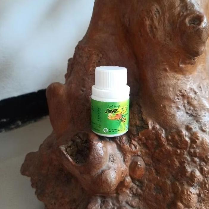Selera Jualan - Ambecap Nr55 Obat Herbal Nr 55 Isi 30 Kapsul
