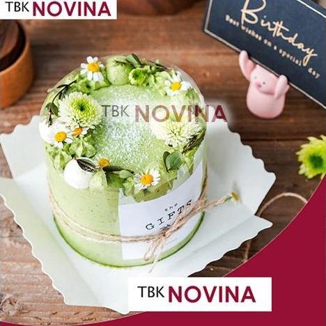 BOX MIKA CAKE / BOX MIKA KUE / KOTAK KUE CAKE / BOX CAKE CANTIK