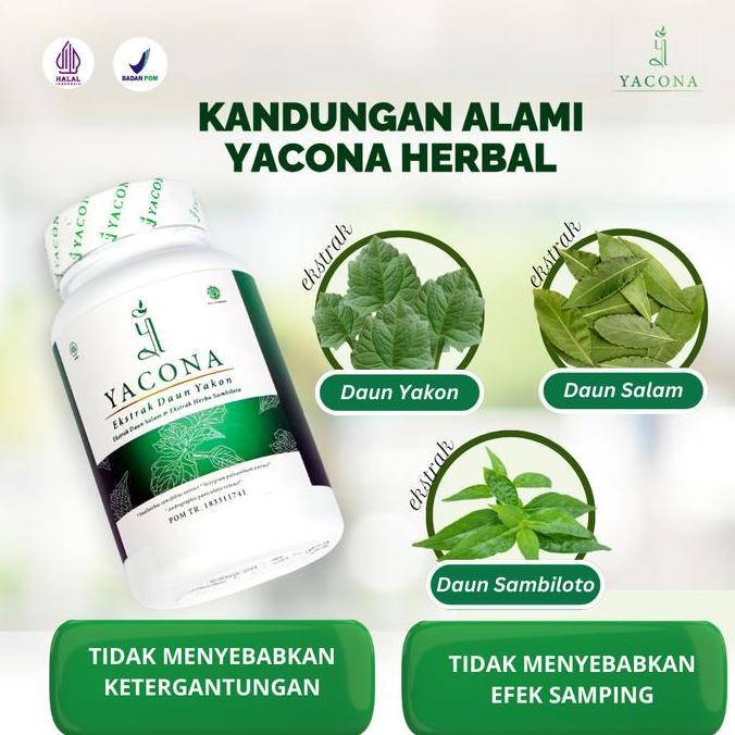 Excellent- Yacona Herbal Bantu Turunkan Gula Tinggi- 1 Botol 60 Kapsul