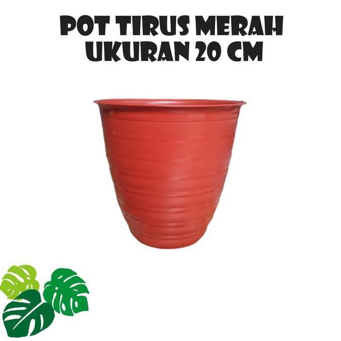 Place- Pot Tawon Tirus 20 Cm Paket Isi 6 Pot Hijau Putih