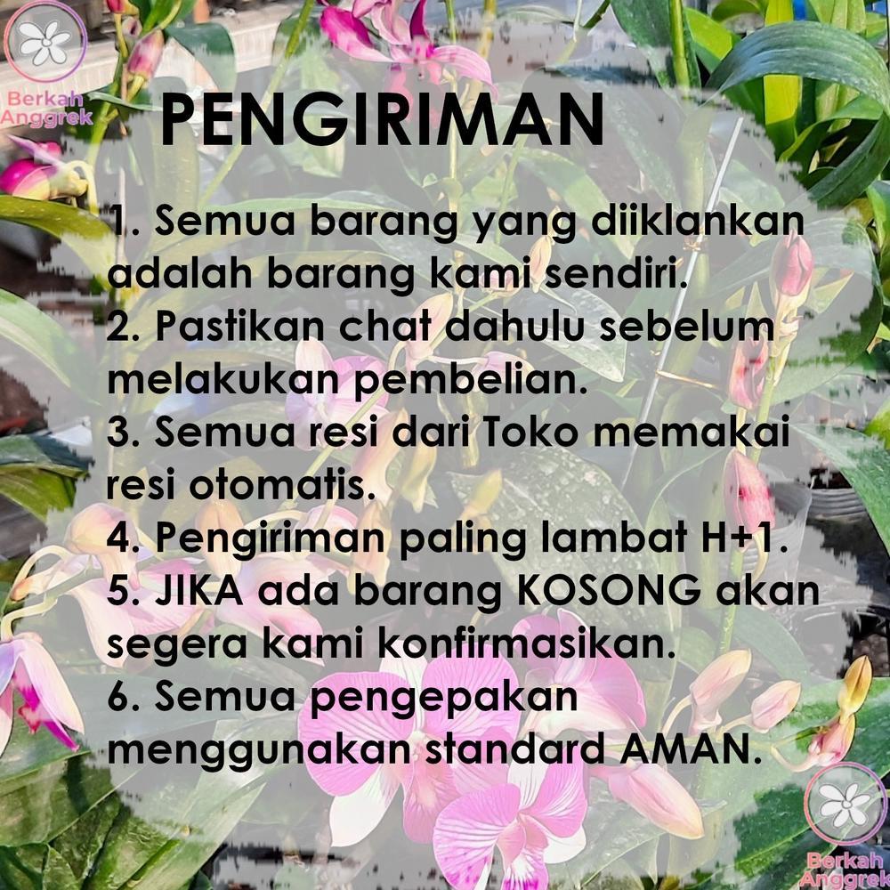 Promo Cod Dormex 50 Ml Pupuk Pertumbuhan Tunas Anggur Cairan ><