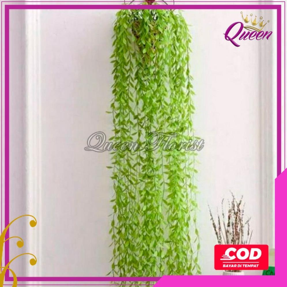 FAVORIT [COD] DAUN JUNTAI LIKANYU LEE KWAN YU HOYA COSTA PLASTIK ARTIFICIAL - TANAMAN GANTUNG HIAS D