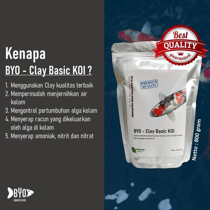 Fisch- Clay Koi - Penjernih Kolam Koi / Clay Basic (Murni Clay)