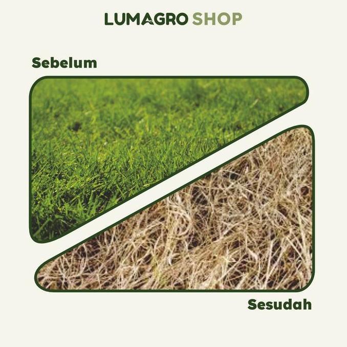Rumpas 110EW 100ml Herbisida Selektif Cabai Kacang Tanah Padi Tebu Bawang Merah (TERBAIK) (TERBARU) 