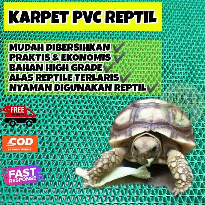 Alas kandang torto 30x40 cm kura kura sulcata karpet PVC jaring reptil