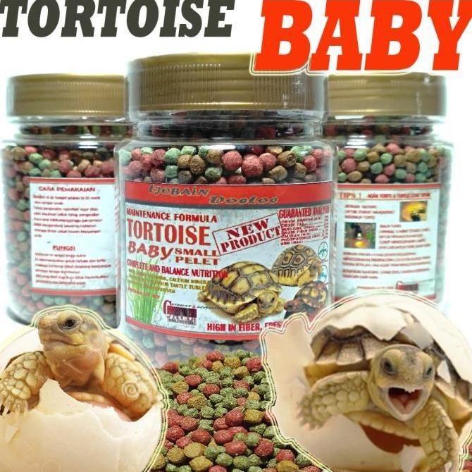 90gr tortoise sulcata baby bites small pellet torto makanan kura darat
