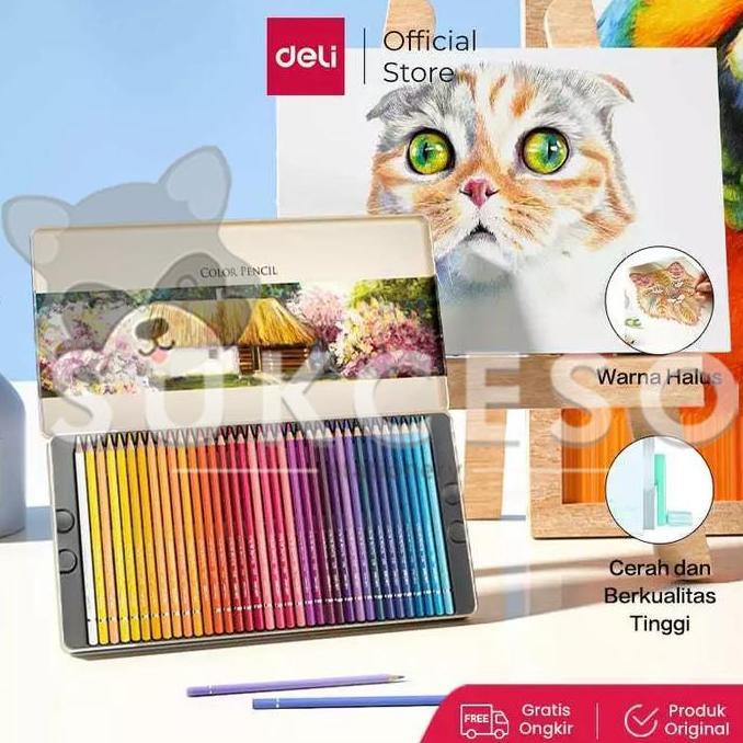 DELI Oil Color Pencil - Pensil Warna Minyak Pigmented Murah