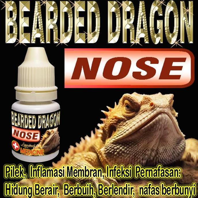 BEARDED DRAGON NOSE OBAT PILEK HIDUNG BERAIR BERLENDIR BERBUIH NAFAS BERBUNYI INFLAMASI MEMBRAN INFE
