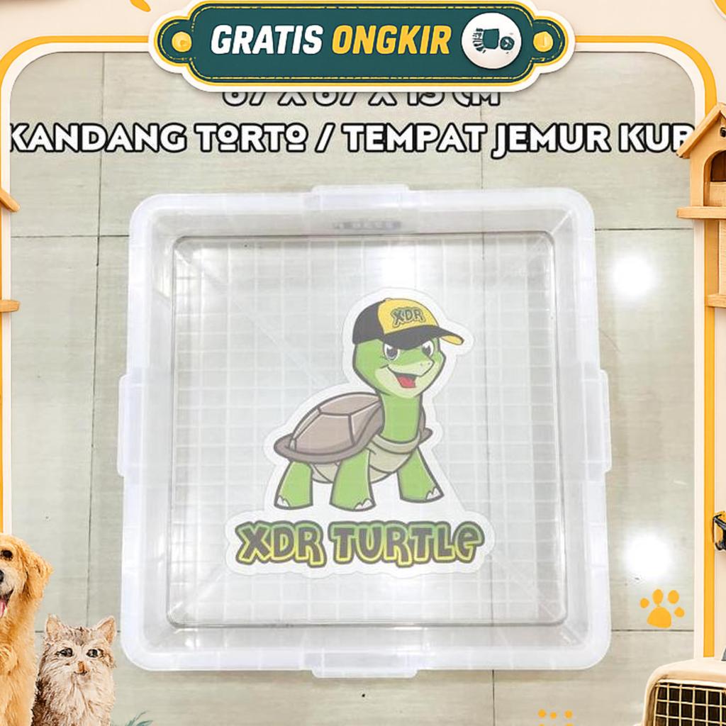 Kandang Kura 67X67X13 Sulcata Aldabra Pardalis Res Albino Xdr Turtle