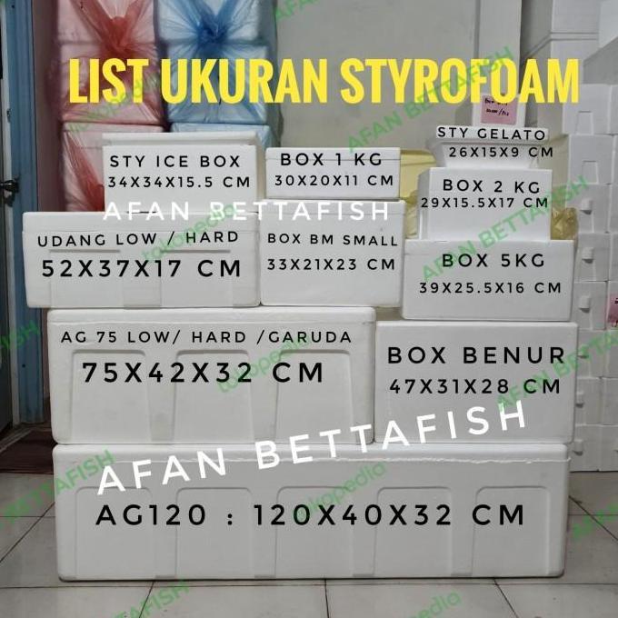 Handx- Styrofoam Lembaran Medium Uk 100 X 50 X 5 Cm / Sterefoam Lembaran