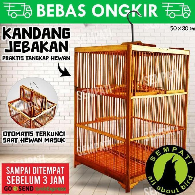 SEMPATI SANGKAR DUA PINTU ATAS KANDANG BURUNG KECIL BAHAN KAYU BAMBU HALUS KUAT BURUNG PRENJAK JALAK