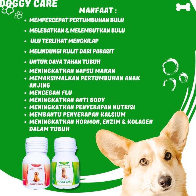 VITAMIN ANJING PENGGEMUK VITAMIN BULU ANJING OBAT ANJING BULU RONTOK Diskon