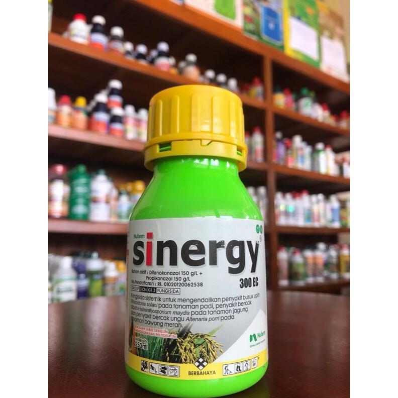 Fungisida Sinergy 300 Ec | Obat Jamur, Blas, Potong Leher