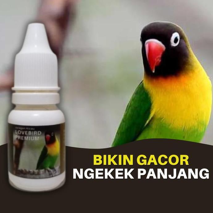 Doping Vitamin Burung Lovebird Premium Tetes Dosis Tinggi Biar Gacor Konslet Ngekek Panjang Allshop