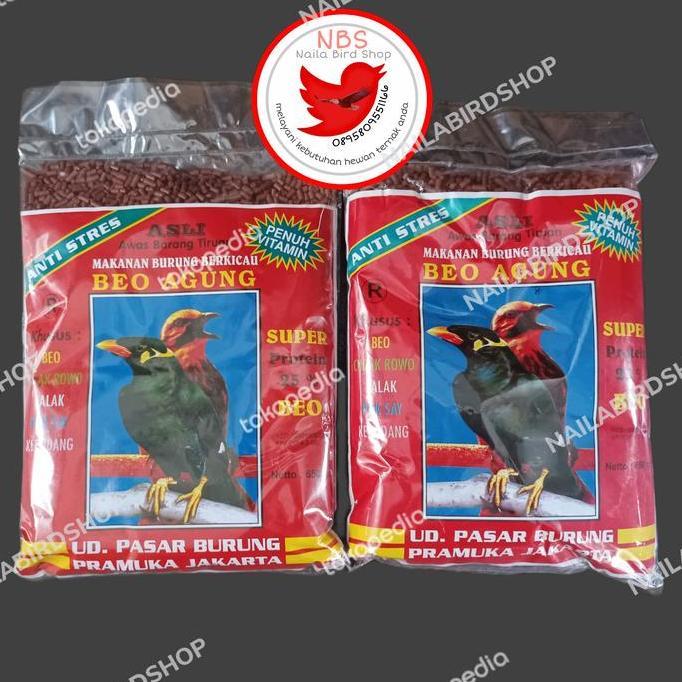 Beo Agung Pakan Burung Beo Allshop
