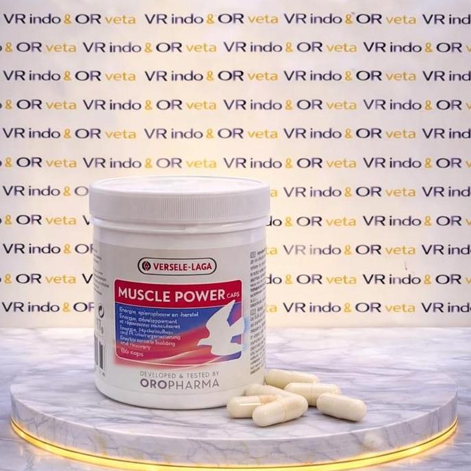 MUSCLE POWER CAPS VERSELE LAGA PIL BURUNG MERPATI BALAP OTOT KUAT