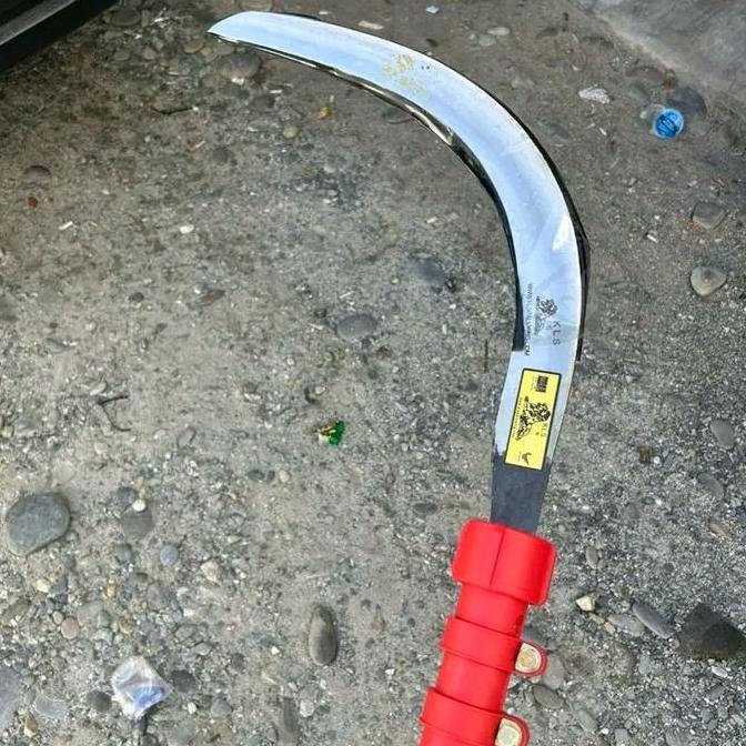 Egrek Kls Palmking Standard