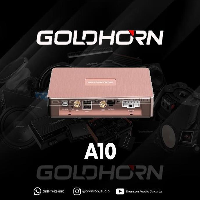 Dsp Amp Goldhorn A10 terlaris