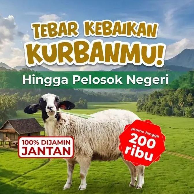 Kurban Qurban Kambing Standar - Dompet Dhuafa