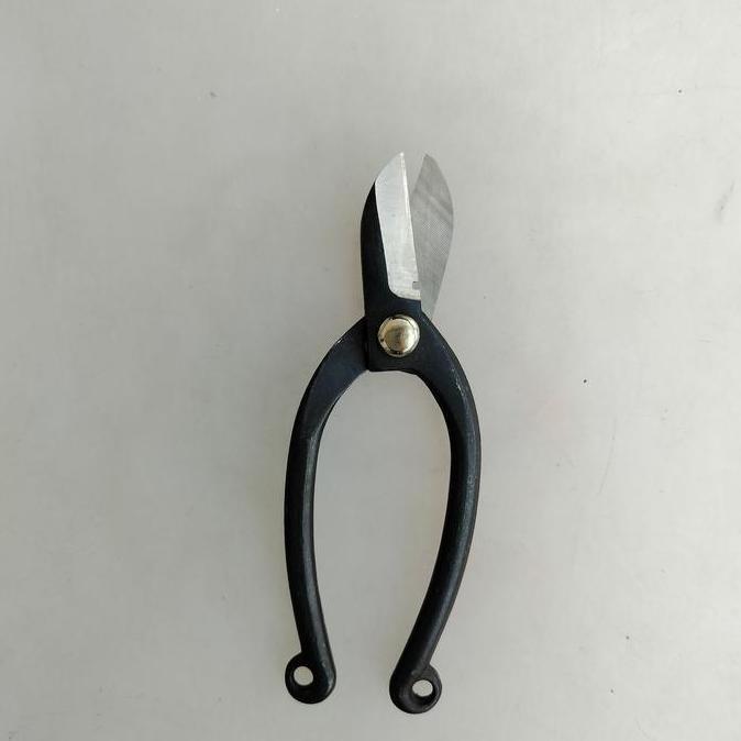 '+'+'+'+] gunting ikebana besi gunting bonsai flower scissors model jepang