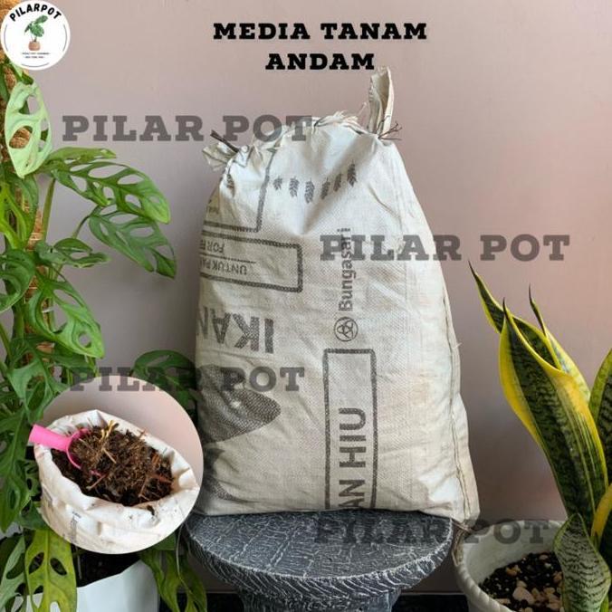 Newwhy- Noni- Media Tanam Organik Andam Karungan - Andam Karung