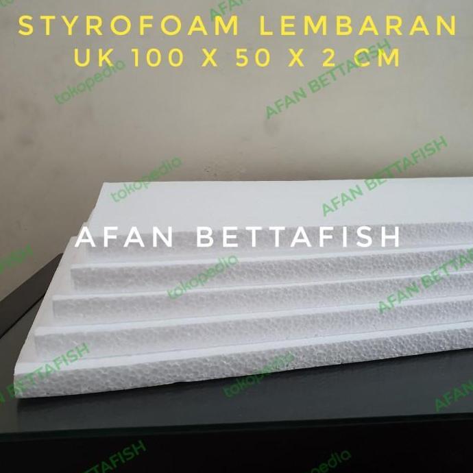 Styrofoam Lembaran Medium Uk 100 x 50 x 5 cm / Sterefoam Lembaran