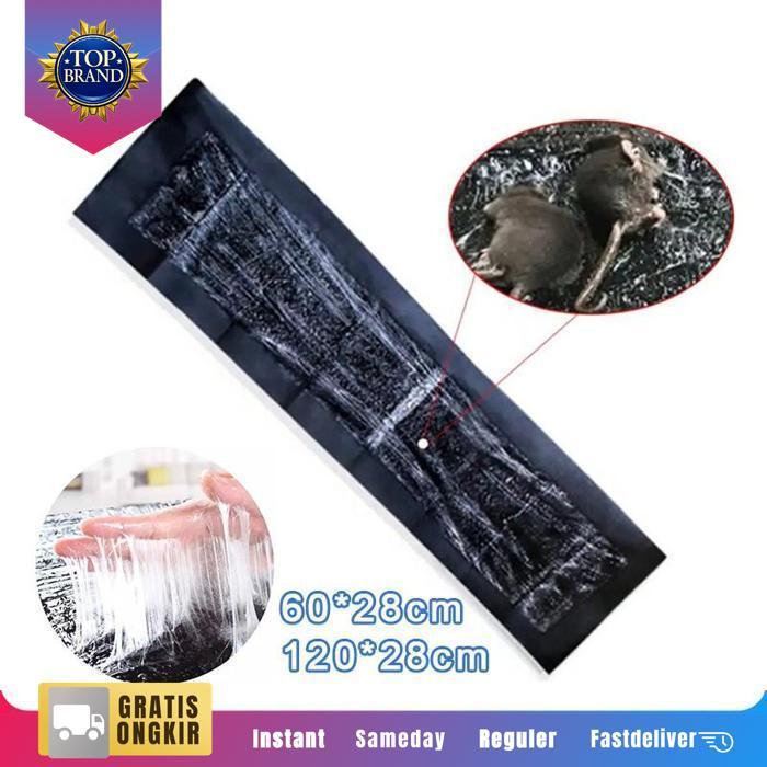 Moxa Stick Moksa Asap Moxibustion Moxa Batang Moksa Tanpa Asap