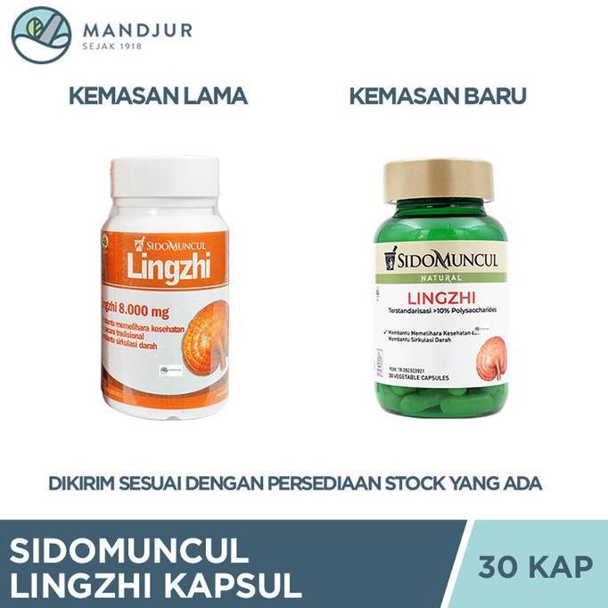 Gehard- Lingzhi Kapsul Sidomuncul