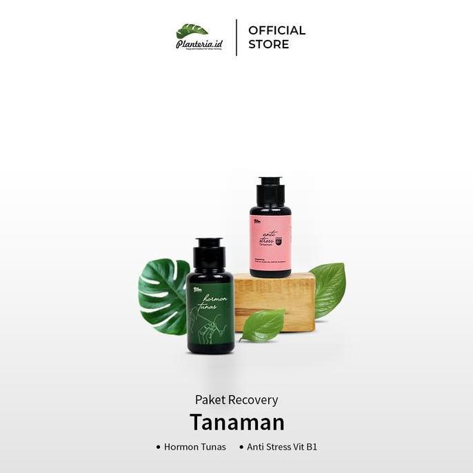 Paket Recorvery Hormon Tunas Aglonema dan Vitamin Anti Stress Tanaman