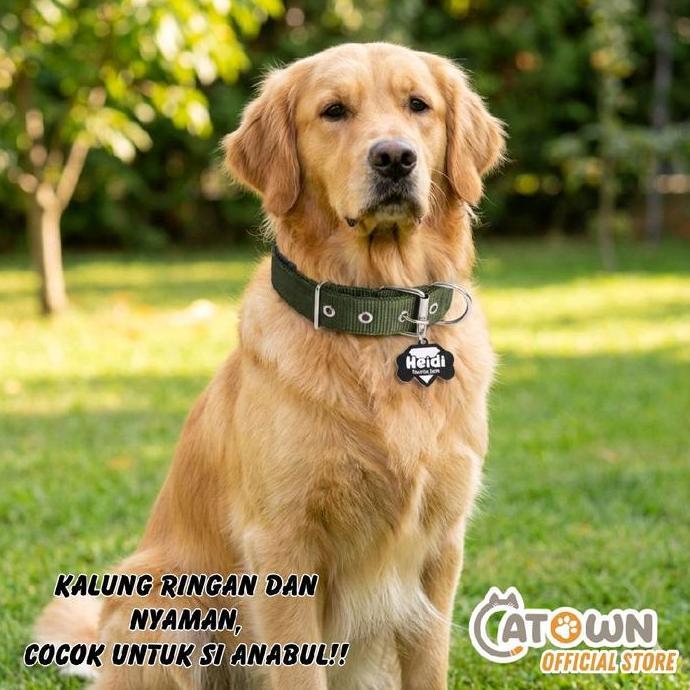 Catown Kalung Anjing Custom Nama Tulisan Kalung Anjing Besar Collar For Anjing Dog Collar Free Custo