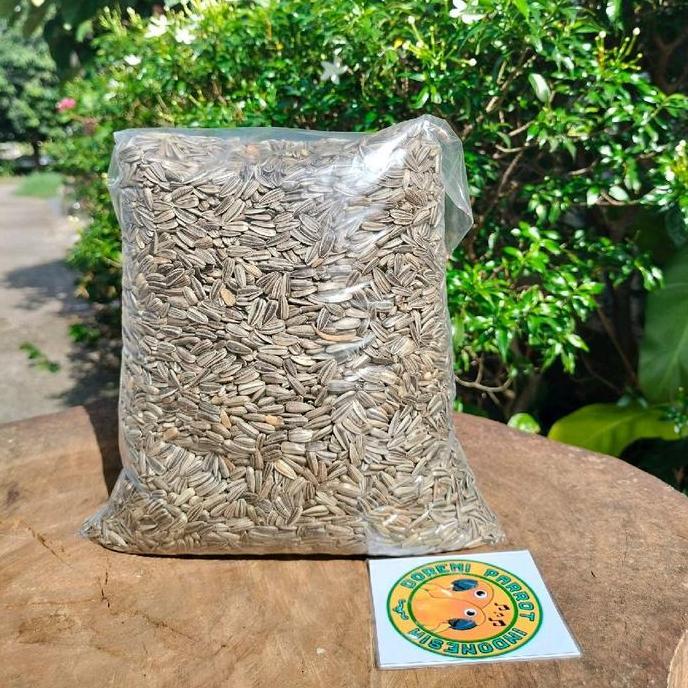 1 Kg Kuaci Kwaci Sunflower Biji Bunga Matahari Hamster Burung Import