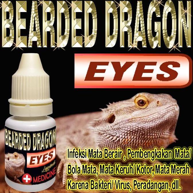 BEARDED DRAGON EYES OBAT TETES MATA BERSELAPUT TERTUTUP INFEKSI BERAIR BENGKAK MERAH PERADANGAN REPT