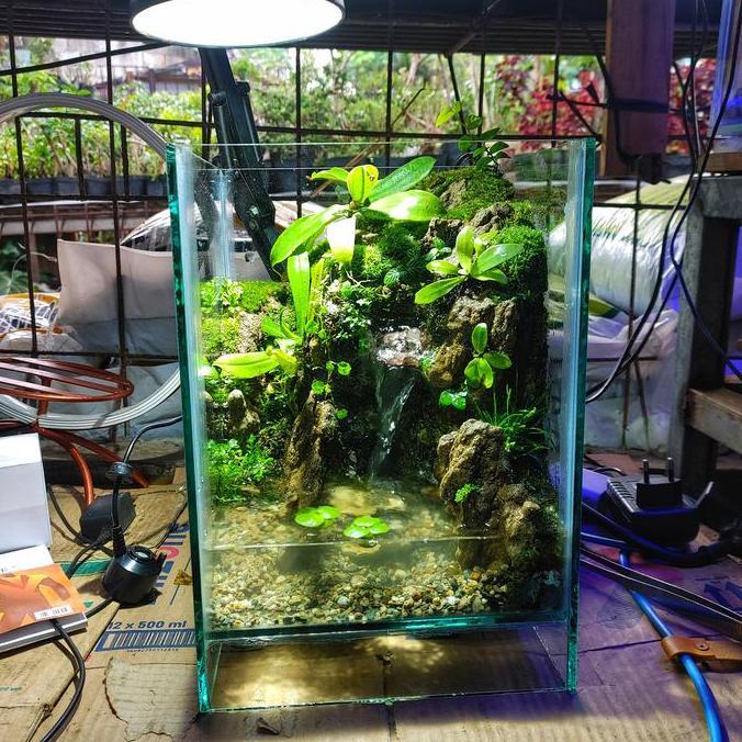 Paludarium -  Fullset Aquarium Mini Waterfall Air Terjun Vivarium Terrarium Kaca Vertical Landscape 