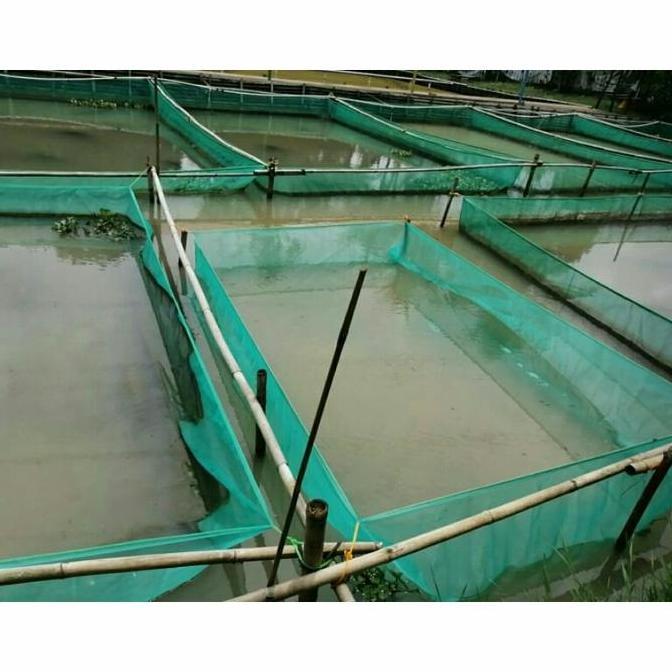 Pesca- New- Keramba Jaring Apung Hapa Ikan 3X2X1 Karamba Tanjaran Sortir Plus Tali