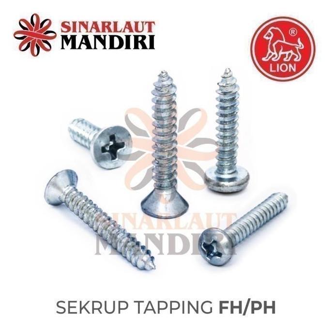 Sekrup Tapping / Tapping Screw HPL FH+ 12x3