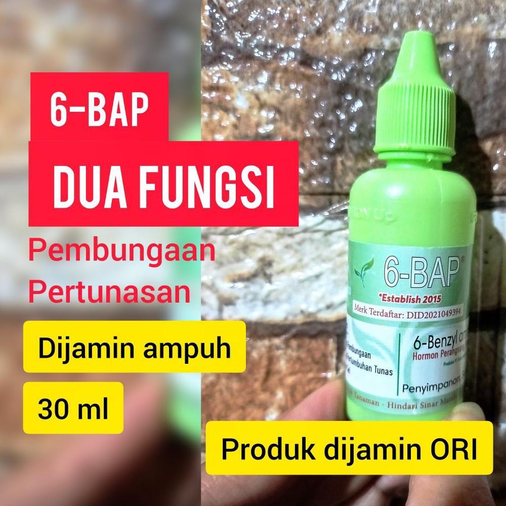 NEW 6-BAP, MONTAN AUKSIN GIBERELIN Hormon Pembungaan dan Pertumbuhan Penumbuh Bunga, Tunas, dan Keik