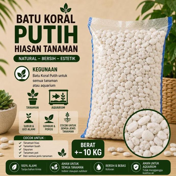 BATU KORAL PUTIH KECIL HIASAN TAMAN BATU MAKAM VIA GOSEND - BATU KORAL KARUNG