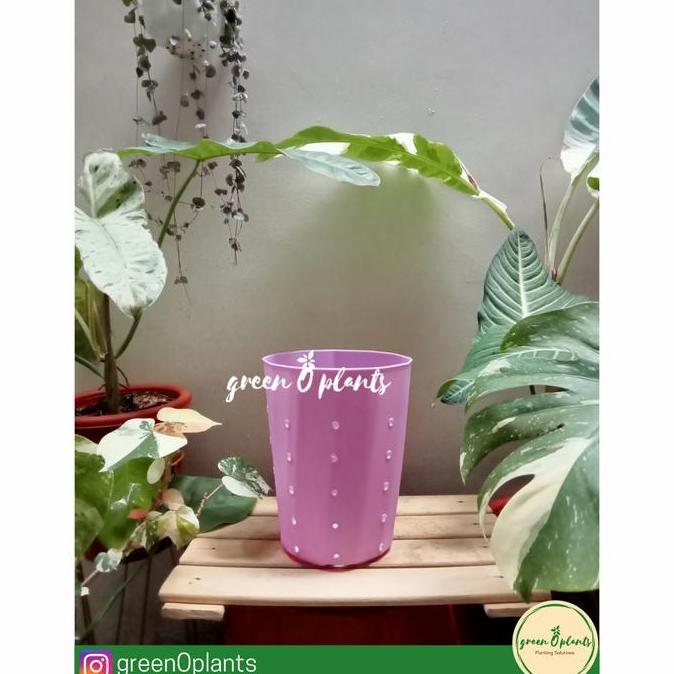 Pot HJP Twister Ungu Berlubang