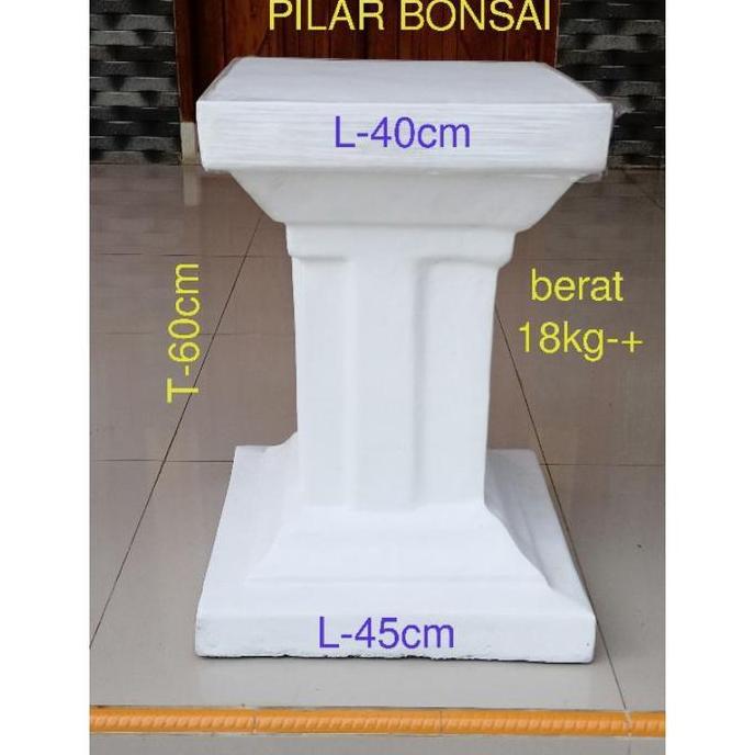 Premium Pilar Bonsai Tinggi 60Cm